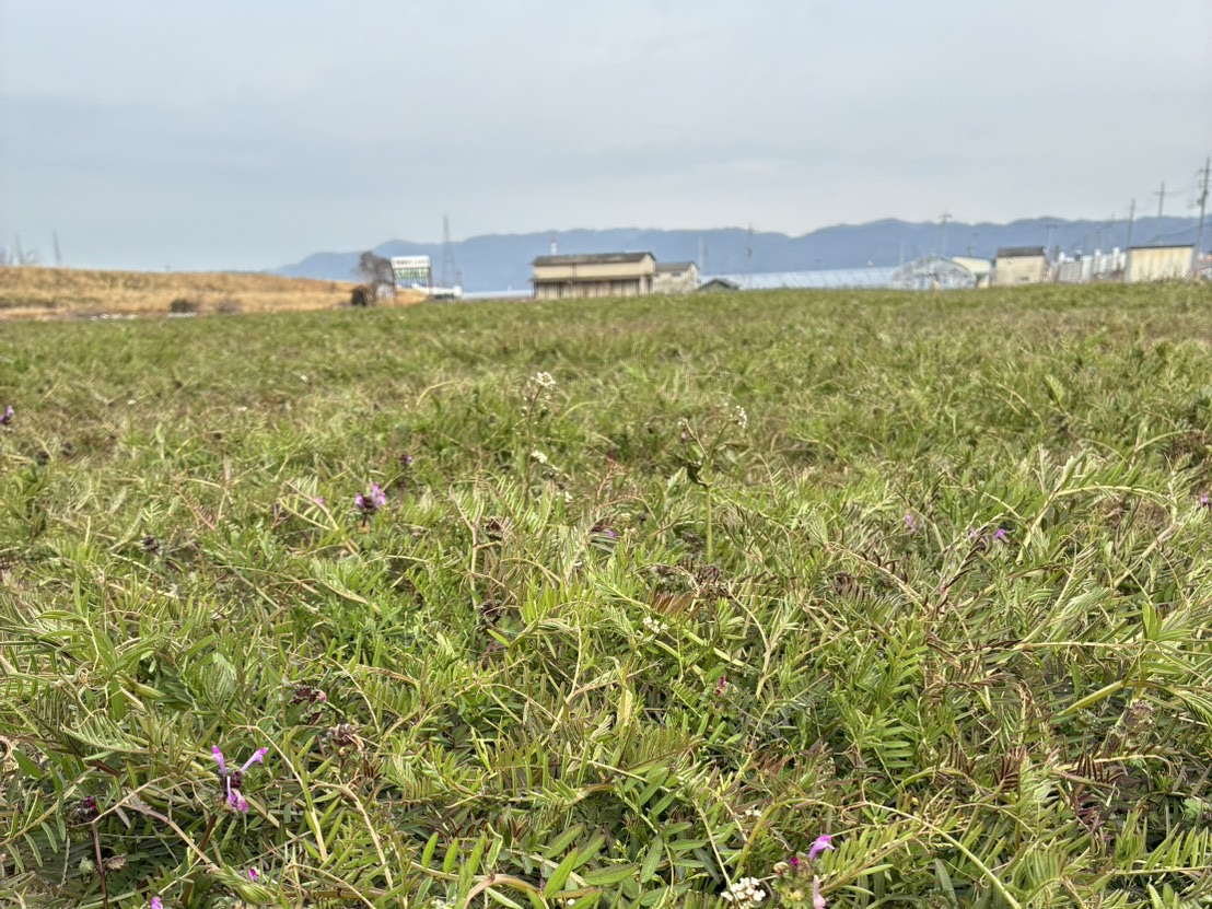 当店のごはんについて